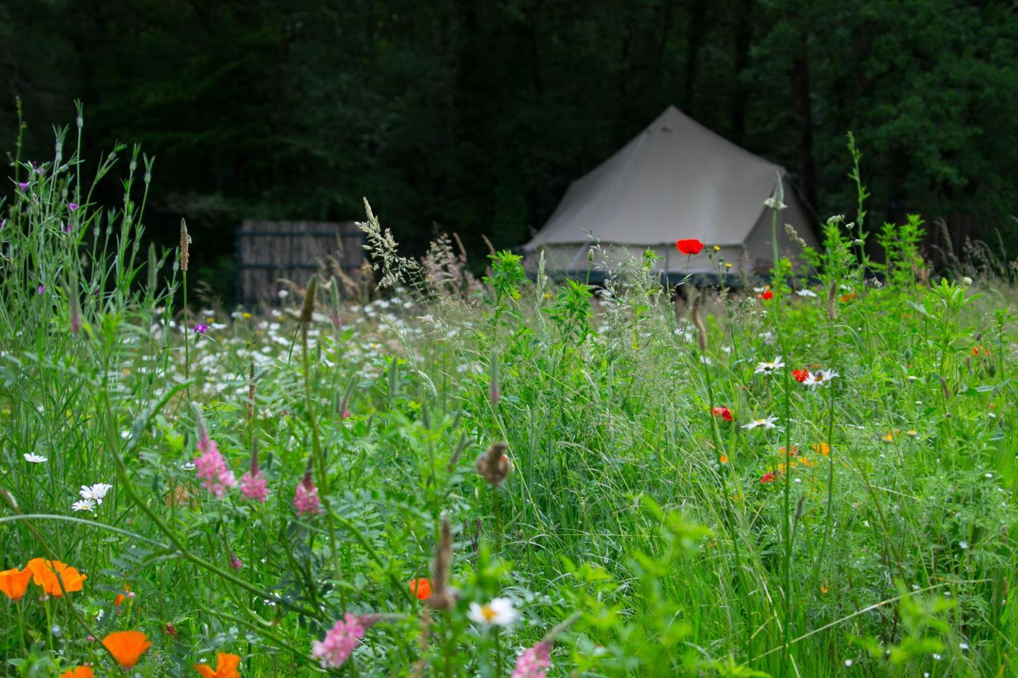 Belair Le Camping Champagnac-de-Bélair Exterior foto