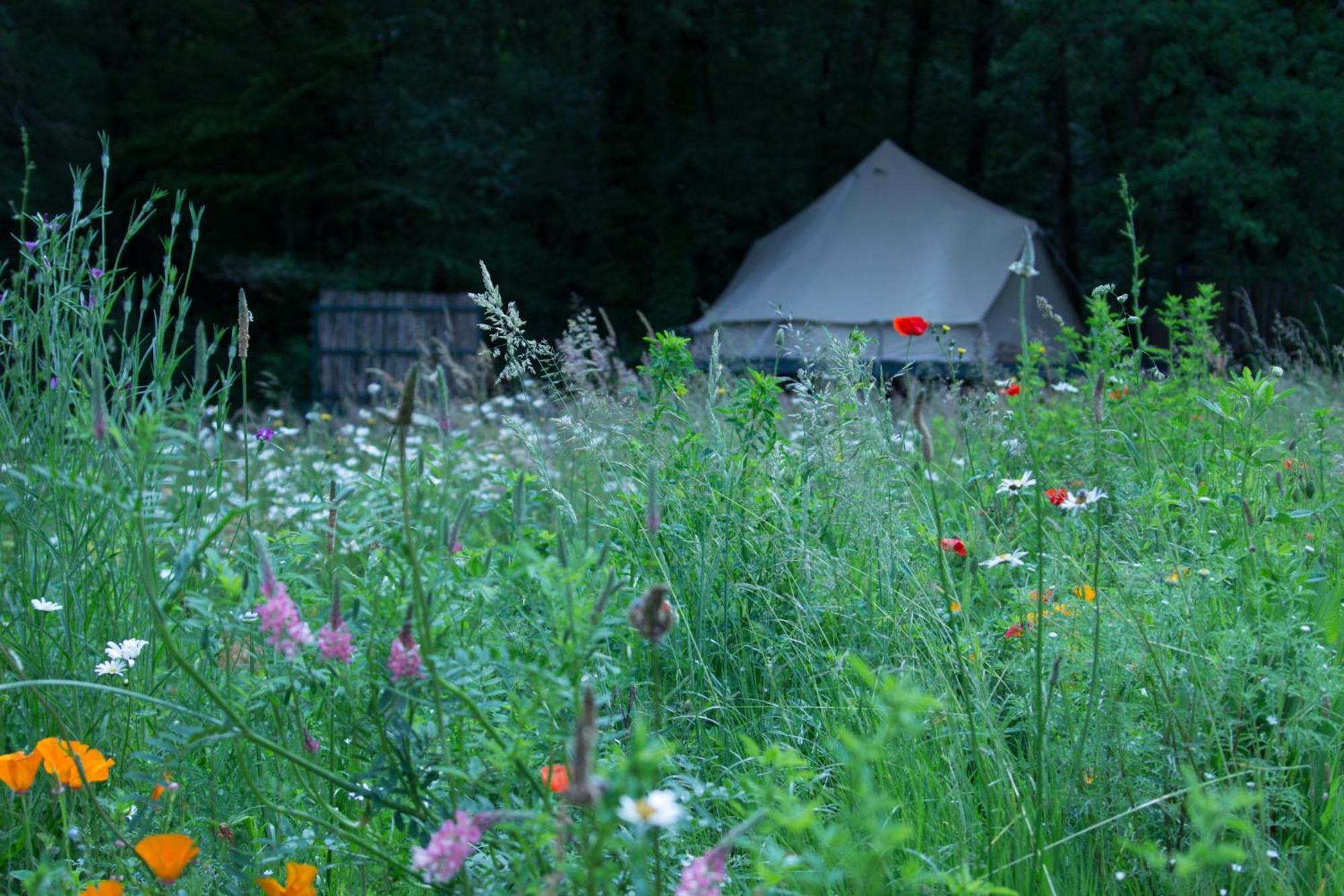 Belair Le Camping Champagnac-de-Bélair Exterior foto